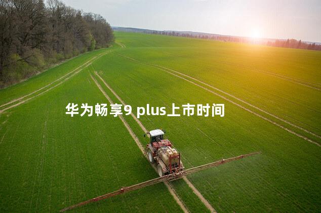 华为畅享9 plus上市时间